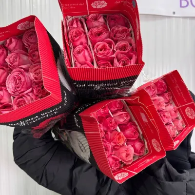 ТРОЯНДА ОДНОБУТОННА "Pink Х-pression" 60СМ (25ШТ/УП)
