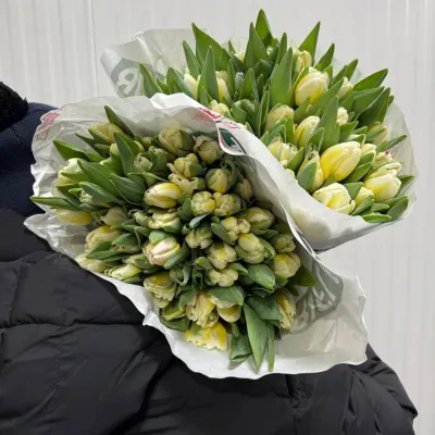 ТЮЛЬПАН БІЛИЙ ГОЛАНДІЯ 50СМ (50ШТ/УП)