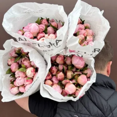 Півонія Gardenia  55СМ (10ШТ/УП)