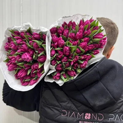 Тюльпан "DOUBLE PRINCES" 40см (50шт/уп)