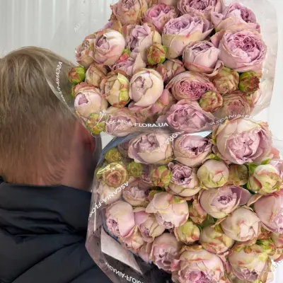 ТРОЯНДА СПРЕЙ "Блоссом Баблз" 50СМ (10ШТ/УП)