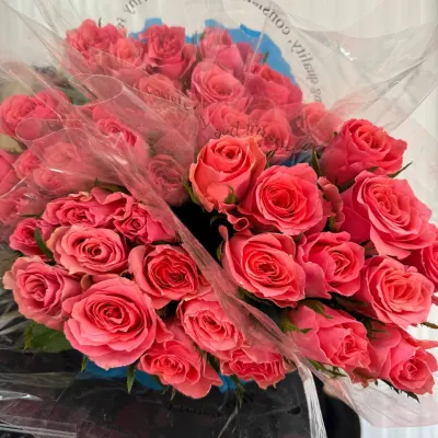 ТРОЯНДА ОДНОБУТОННА "Ace Pink" 60СМ (10ШТ/УП)