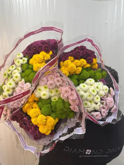 ХРИЗАНТЕМА САНТІНІ МІКС POMPON 55СМ (25ШТ/УП)