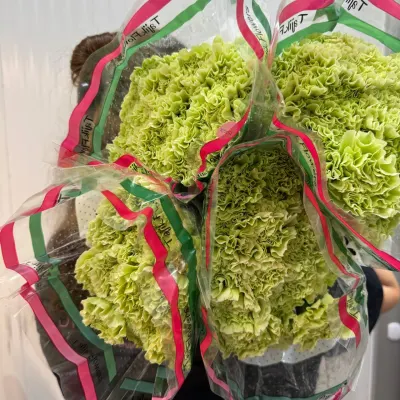 Гвоздика Green (carn) 70СМ 25ШТ/УП