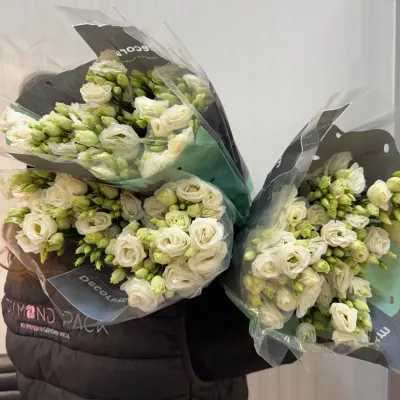 ЕУСТОМА "ROSI" white 70 см (10 шт/уп)