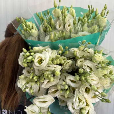 ЕУСТОМА "ROSI" white 70 см (10 шт/уп)
