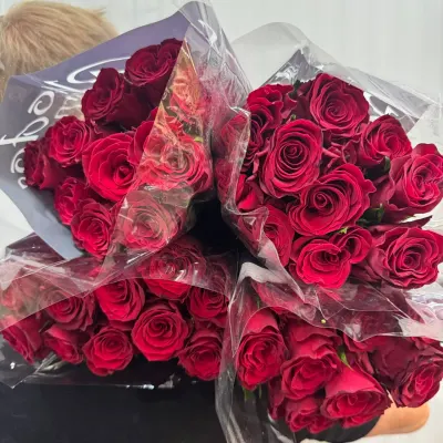 ТРОЯНДА "RHODOS" 60СМ (10ШТ/УП)