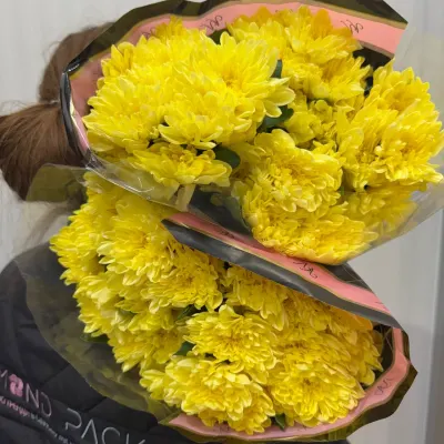 ХРИЗАНТЕМА "Балтика yellow" 70 см (5 гілок/уп)