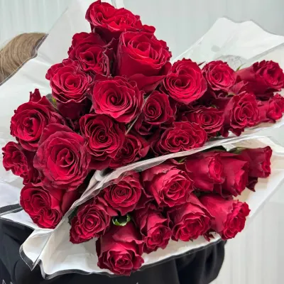 ТРОЯНДА "RHODOS" 60СМ (10ШТ/УП)